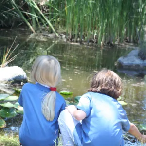 exploring life in the pond, SBBG Summer Nature Camp, 2007