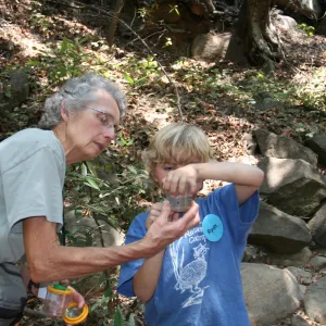 Sue B., exploring life in Mission Creek, SBBG Summer Nature Camp, 2008