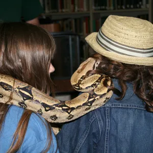 python boa constrictor, snake, reptiles in the Blaksley Library, SBBG Summer Nature Camp, 2009
