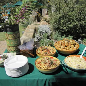 food table, SBBG Volunteer Luncheon, 2011