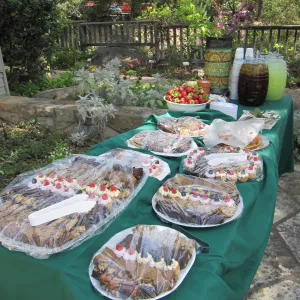 dessert table (all desserts catered by SBBG staff), SBBG Volunteer Luncheon, 2011