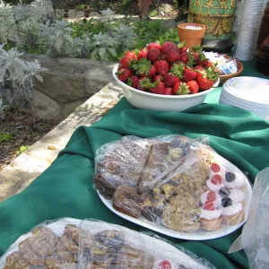 dessert table (all desserts catered by SBG staff), SBBG Volunteer Luncheon, 2011