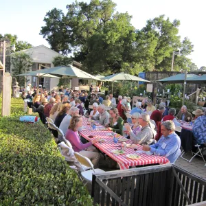 picnic tables in the Courtyard, SBBG Members Picnic, 2011