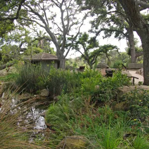 view over the Meadow Pond to the Information Kiosk, Santa Barbara Botanic Garden, March 2011, © Gary Margeson