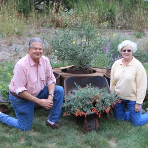 wheelbarrow flower, art exhibit, Art from Ashes event, SBBG