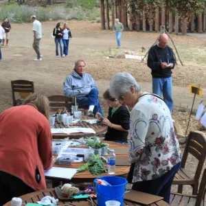 charcoal drawings activity, Art from Ashes event, SBBG
