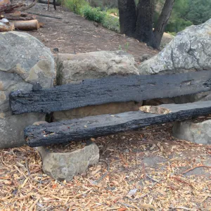 burned Mr. and Mrs. William Stratton Porter Bench (bench #64) on the Porter Trail, Art from Ashes event, SBBG