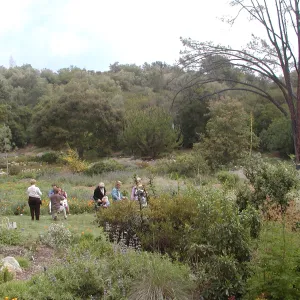 SBBG Egg Hunt, 2002