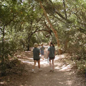 walking on the Canyon Trail, Mission Canyon, kids, SBBG Summer Nature Camp, 2002