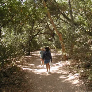 walking on the Canyon Trail, Mission Canyon, kids, SBBG Summer Nature Camp, 2002