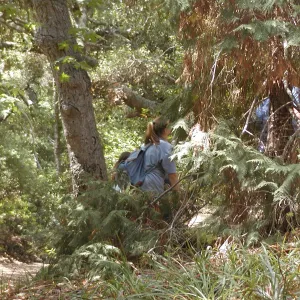 in the canyon, SBBG Summer Nature Camp, 2002