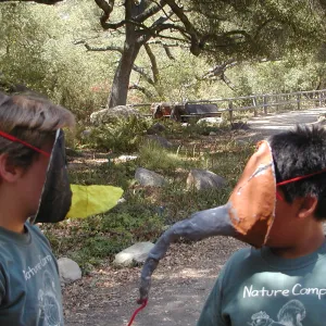 painted animal masks, SBBG Summer Nature Camp, 2002