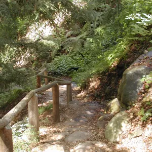 Indian Steps, SBBG