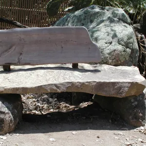 wood bench in the Desert Section, SBBG