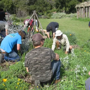 SB City College volunteers