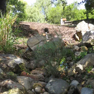 Erosion caused by heavy rain in the Tunnel Triangle