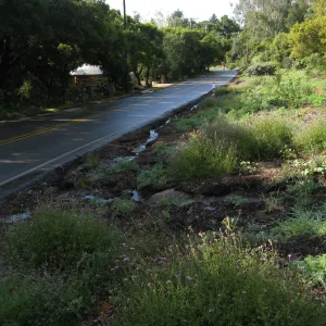 Erosion caused by heavy rain in the Tunnel Triangle