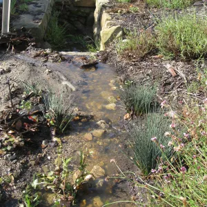 Erosion caused by heavy rain in the Tunnel Triangle