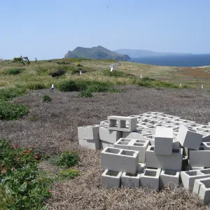 Anacapa Island