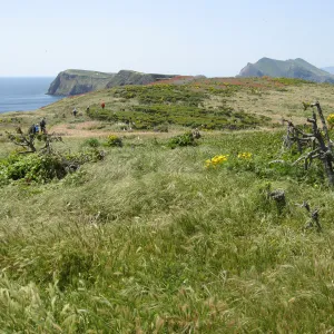 Anacapa Island