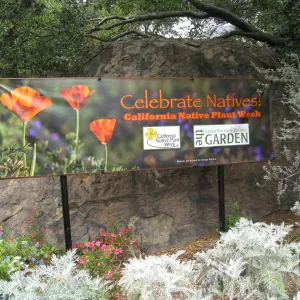 Native Plant Week sign