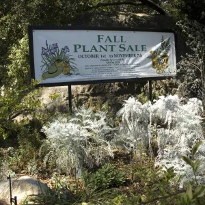banner at Entrance boulder, SBBG Fall Plant Sale, 2010