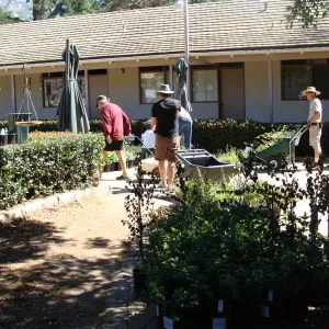 SBBG staff and volunteers prepare for the Spring Plant Sale, 2011
