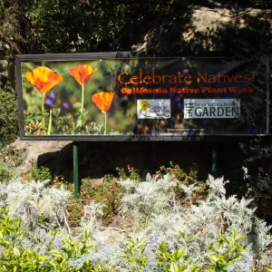 'Celebrate Natives, California Native Plant Week', 2011, banner at Garden Entrance boulders