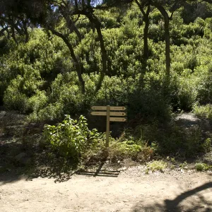 directional signage along the Canyon Trail, SBBG, 2 years after the Jesusita Fire