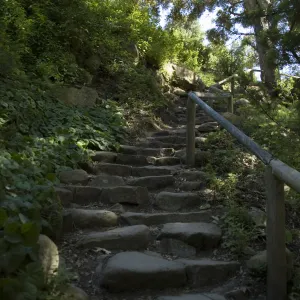 Indian Steps, Redwood Section, SBBG, 2 years after the Jesusita Fire