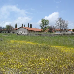 wildflowers, Mission San Antonio, Fort Hunter Liggett, SBBG Research and Conservation staff field trip, 2006