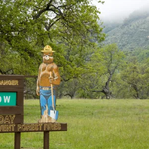 Los Padres National Forest, Smokey Bear, Fort Hunter Liggett, SBBG Research and Conservation staff field trip, 2006