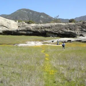 Dieter Wilken, Beth Painter, wildflowers, Santa Lucia Mountains, Fort Hunter Liggett, SBBG Research and Conservation staff field trip, 2006