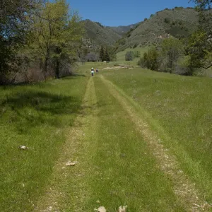 Santa Lucia Trail, Santa Lucia Mountains, SBBG Research and Conservation staff field trip, Fort Hunter Liggett, 2006