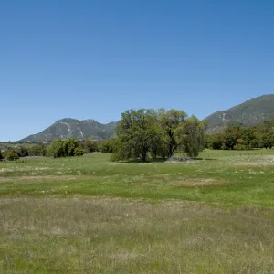 Santa Lucia Trail, Santa Lucia Mountains, SBBG Research and Conservation staff field trip, Fort Hunter Liggett, 2006
