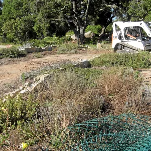 Decomstruction of Meadow Terrace