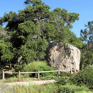 Blaksley boulder with fence