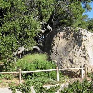 Blaksley boulder with fence