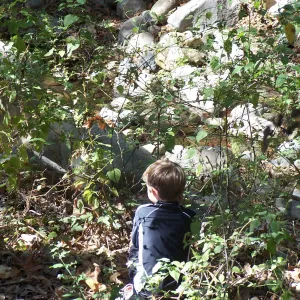 SBBG Community Free Day, visitors exploring the Canyon Trail