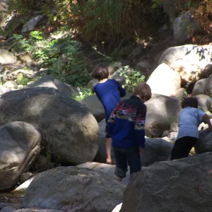 SBBG Community Free Day, visitors exploring Mission Creek