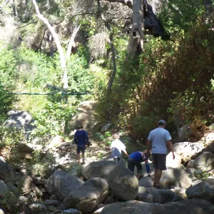 SBBG Community Free Day, visitors exploring Mission Creek