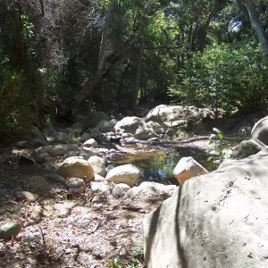 SBBG Community Free Day, pool in Mission Creek