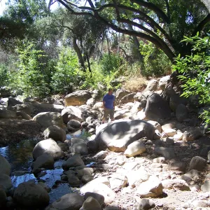 SBBG Community Free Day, visitors at the Mission Creek crossing