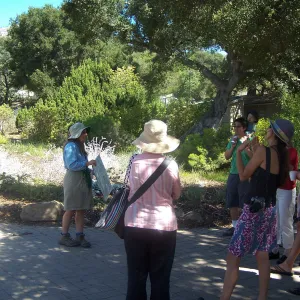 SBBG Community Free Day, Docent Tour
