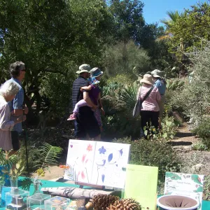 SBBG Community Free Day, Docent Tour