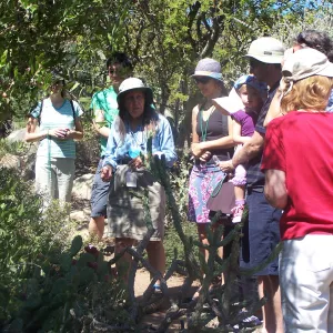 SBBG Community Free Day, Docent Tour