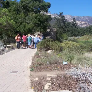 SBBG Community Free Day, Docent Tour group