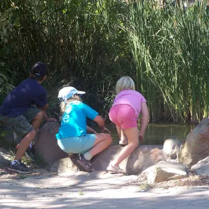 SBBG Community Free Day, children at the Meadow Pond