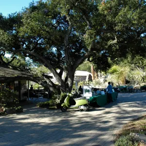 Entrance oak, gift shop, Vespa, reception tables, SBBG Community Free Day, October 16 2011
