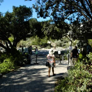 visitors at the Garden Entrance, SBBG Community Free Day, October 16 2011